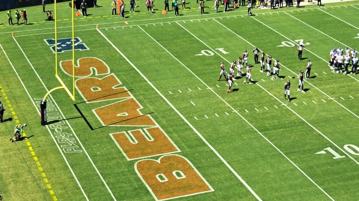 Bears Lions