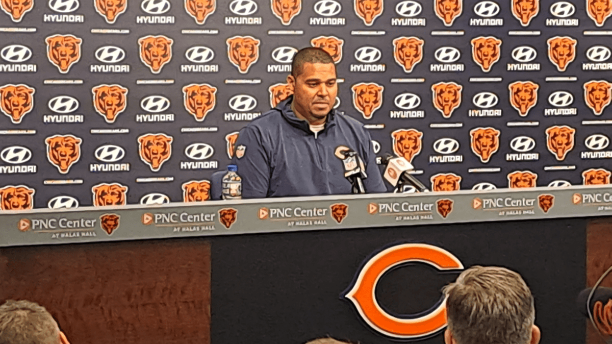 Bears Comparison