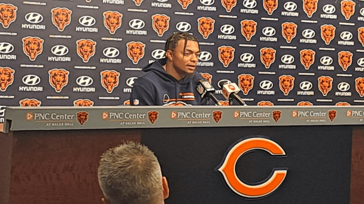 Bears Fields Insider