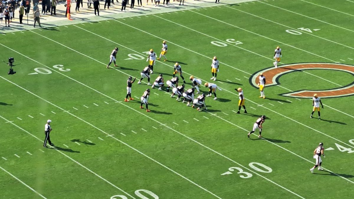Bears Owens